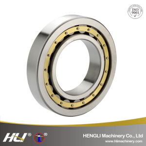 Chrome Steel Double-Ribbed Inner Ring Single Row Cylindrical Roller Bearing